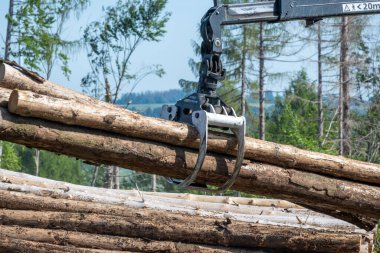 Gündüz vakti ormanda odun taşıyan ağır bir kepçe.