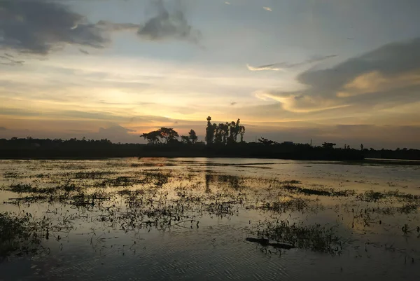 Een Silhouet Van Een Veld Bij Zee Bij Zonsondergang Onder — Stockfoto