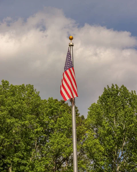 A vertical shot of the flag of the United States on a pole surrounded by bright green trees under a cloudy sky