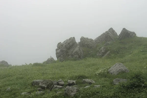 Slovenya 'nın Velika Planina kentindeki sisli bir günde, yeşil, cennet gibi bir tepede büyük bir taş..
