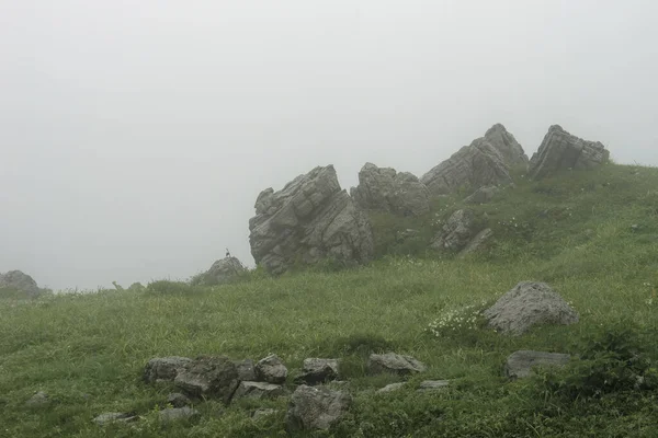 Большой Камень Зеленом Идиллическом Холме Туманный День Поселке Велика Планина — стоковое фото