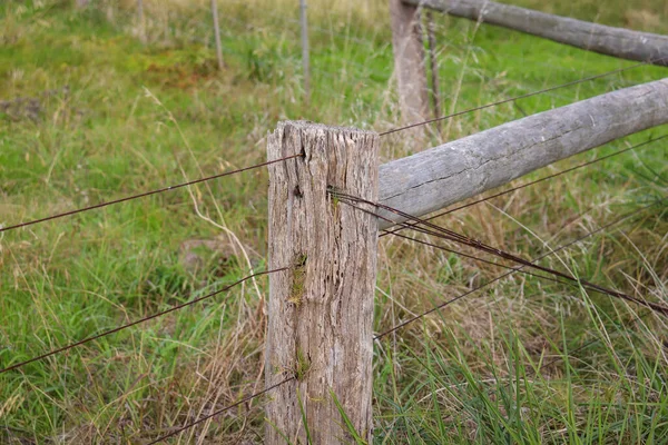 Lantlig Stolpe Och Taggtrådsstängsel Betesmark — Stockfoto