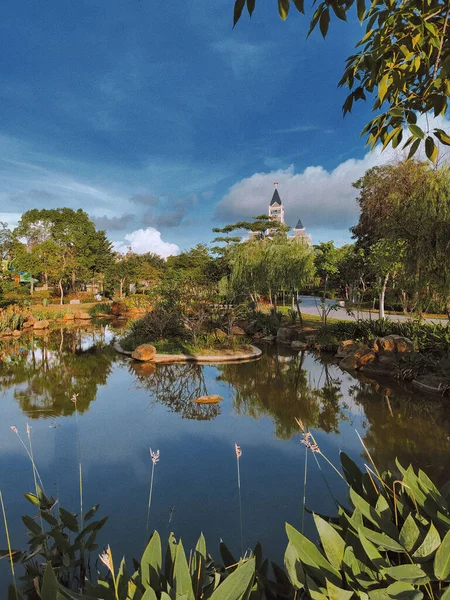 Parktaki Yemyeşil Bitkilerle Dolu Bir Göletin Dikey Görüntüsü — Stok fotoğraf