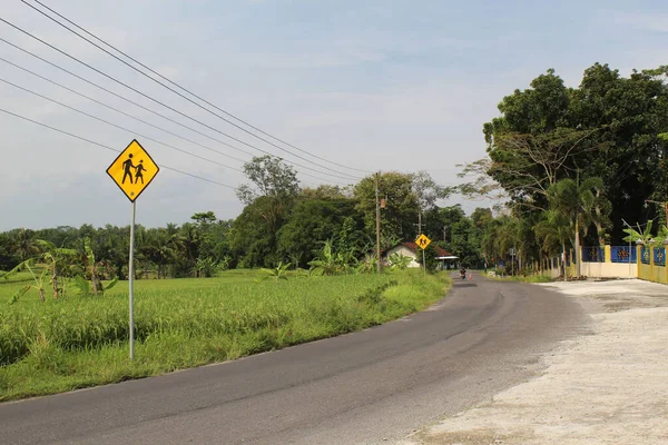Güzel bir yol manzarası ve bulutlu gökyüzünün altında pirinç tarlaları.