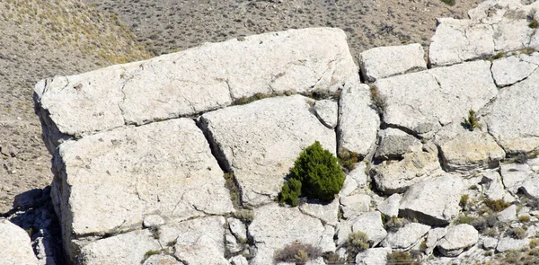Close Pedras Afiação Danificadas Com Musgo Verde Superfície — Fotografia de Stock