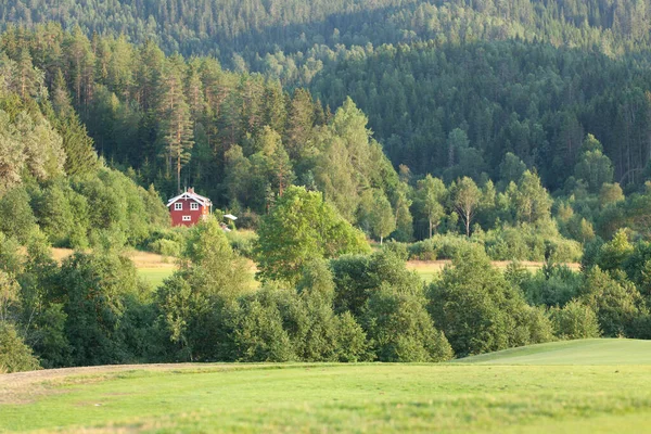 Die Schöne Sommerlandschaft Mit Einem Roten Bauernhaus Umgeben Von Grünen — Stockfoto