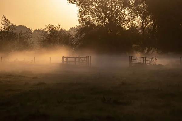 Una Hermosa Vista Niebla Mañana Sobre Campo Con Árboles Fondo — Foto de Stock