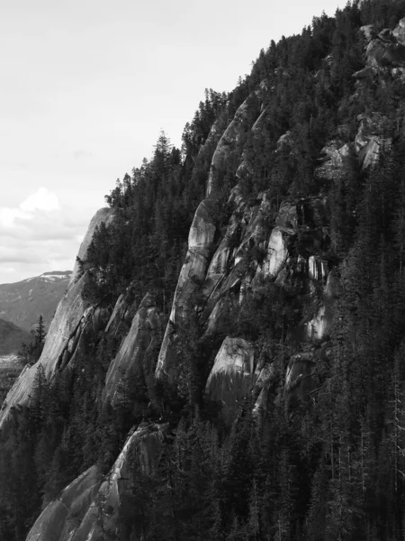 Gündüz vakti ağaçlarla kaplı kayalıkların dikey gri tonda görüntüsü..