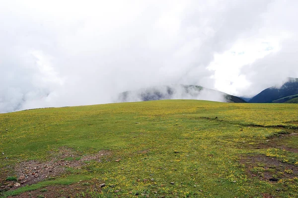 Зеленый Луг Туманные Холмы Заднем Плане — стоковое фото