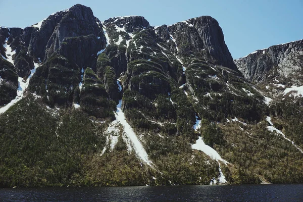 Ett Vackert Landskap Berg Grönska Och Täckt Snö — Stockfoto