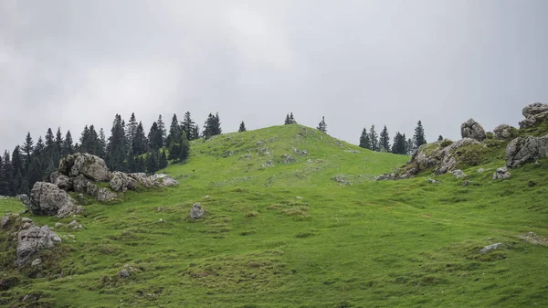 Piękny Widok Łąkę Wzgórza Drzewa Szare Zachmurzone Niebo Velika Planina — Zdjęcie stockowe