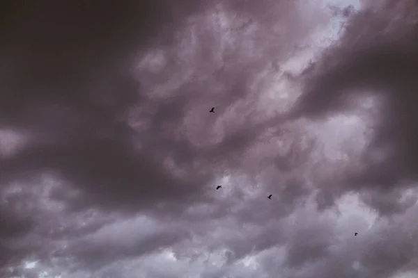 Dramatische Aufnahme Eines Dunkelviolett Grauen Wolkenverhangenen Himmels Und Fliegender Vögel — Stockfoto
