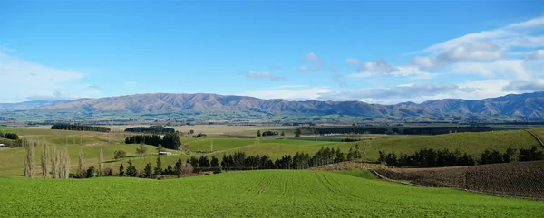 Güneşli bir günde tepelerin eteklerindeki uçsuz bucaksız yeşil tarlaların panoramik manzarası.