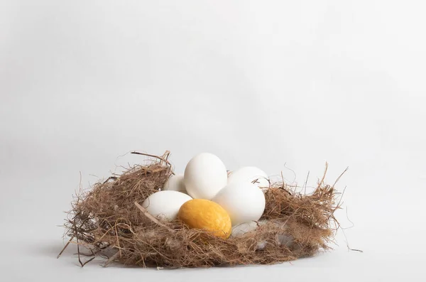 Ένα Μοναχικό Χρυσό Αυγό Που Περιβάλλεται Από Λευκά Αυγά Μια — Φωτογραφία Αρχείου