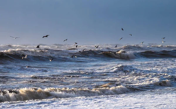 Sun Shines Briefly Winter Storm Showers Waves Surf Seen Horizon — Stock Photo, Image