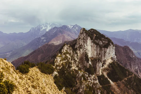 Beau Paysage Arbres Verts Sur Les Montagnes Par Une Journée — Photo