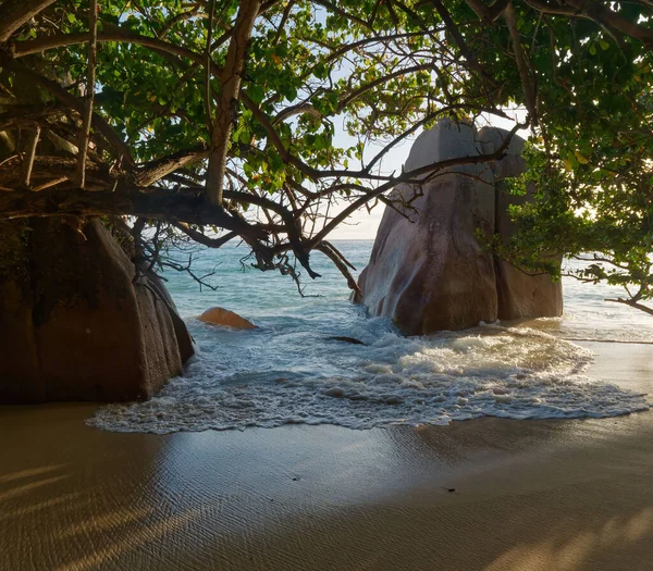 Digue Adası Seyşeller Tropikal Ağaçlarla Dolu Güzel Bir Sahil Manzarası — Stok fotoğraf