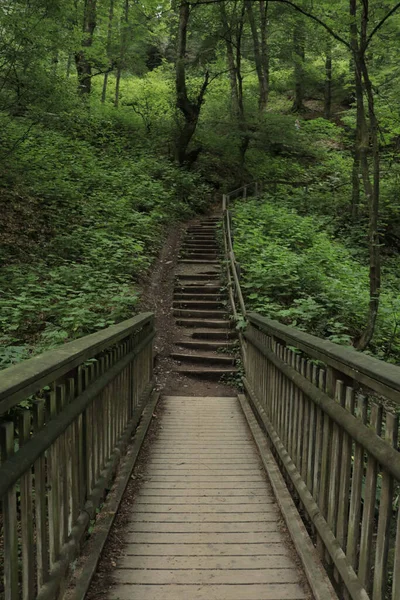Tiro Vertical Escadas Madeira Velhas Exuberante Floresta Verde Winterberg Sauerland — Fotografia de Stock