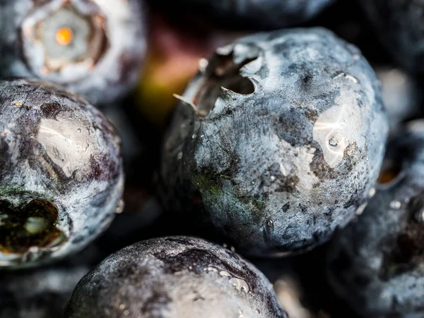 Closeup Shot Details Pile Wet Blueberries — Stock Photo, Image