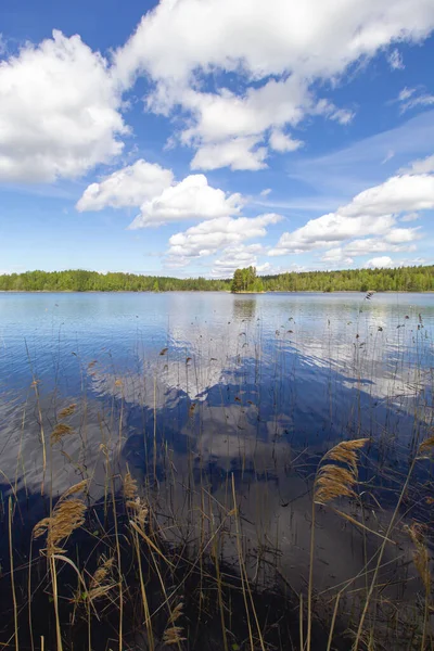 Mavi gökyüzüne karşı yeşil, sık bir ormanın yanındaki güzel bir göl manzarası.