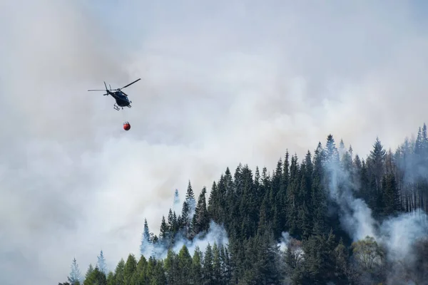 Letecká Protipožární Helikoptéra Přepravující Vodu Hořícího Borového Lesa — Stock fotografie