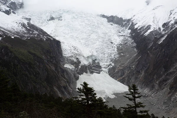 Beautiful Glacier Conch Gully Sichuan Province China — Stock Photo, Image