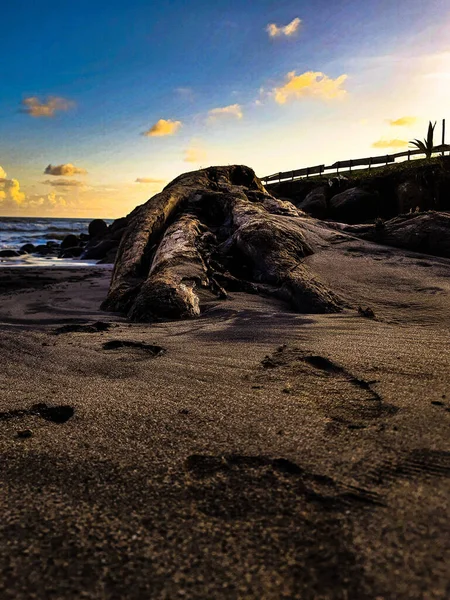 Tiro Vertical Uma Praia Areia Durante Pôr Sol — Fotografia de Stock