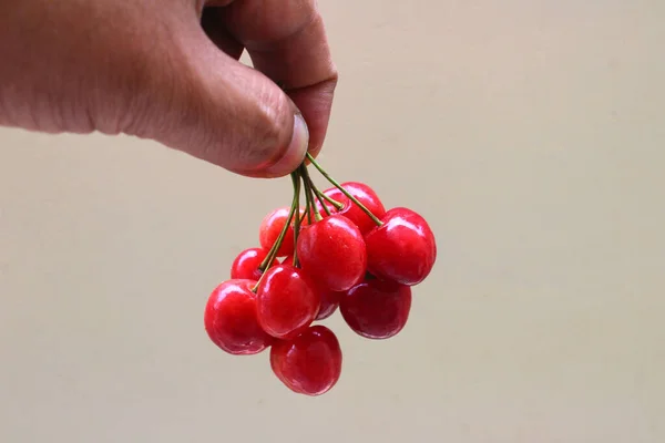 Bouquet Main Tenant Délicieuses Cerises Rouges — Photo