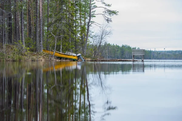 Göle yansıyan bir köknar ağacı ormanı.