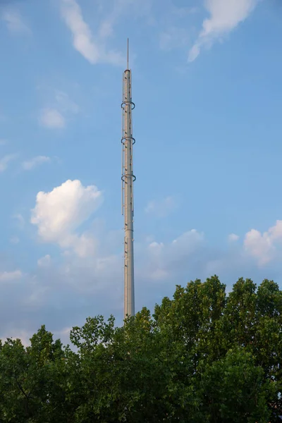 Ormandaki güzel bir kulenin dikey görüntüsü.