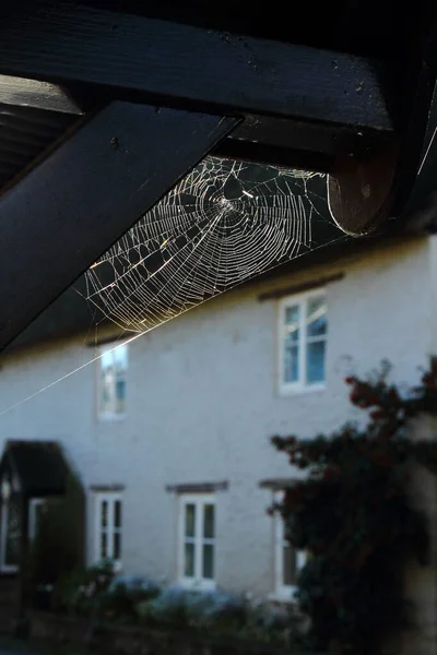 Een Verticaal Shot Van Een Spinnenweb Bevestigd Aan Een Houten — Stockfoto