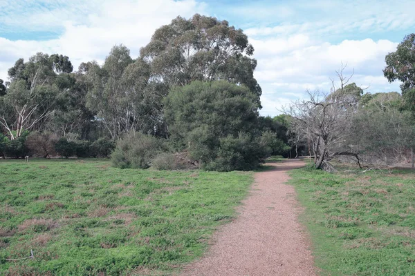 Ağaçlarla dolu otlak arazide yürüyen patika.