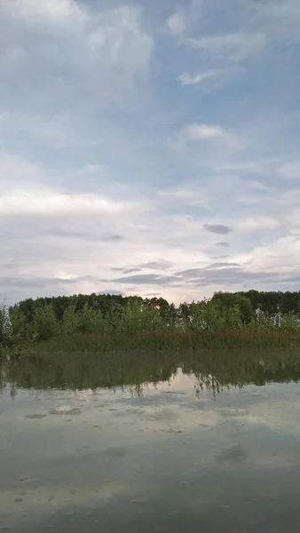 暗い日に緑の木々を反映した湖の垂直ショット — ストック写真
