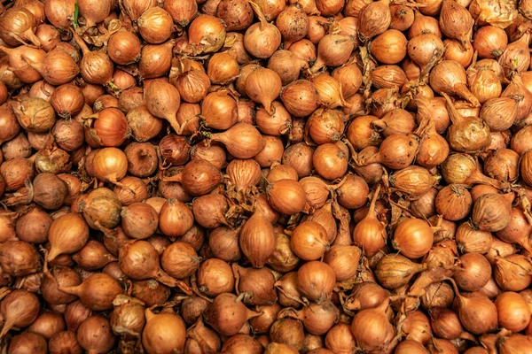 Bir yığın sarı soğanın seçici odak noktası.