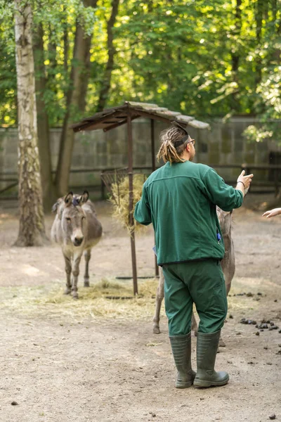 Ein Arbeiter Mit Eseln Zoo — Stockfoto