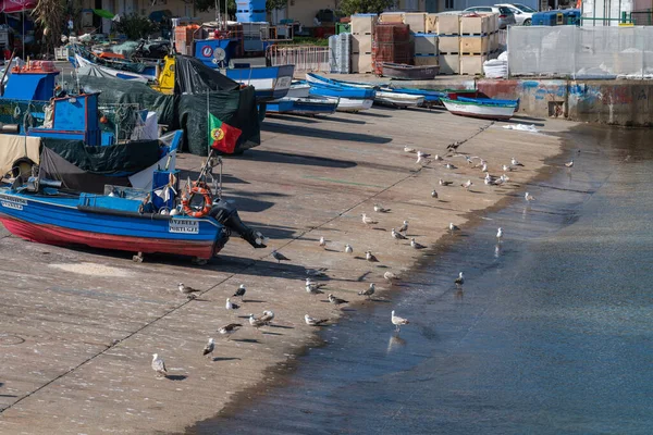 Pohled Rybářská Přístavní Zařízení Sines Portugalsko — Stock fotografie