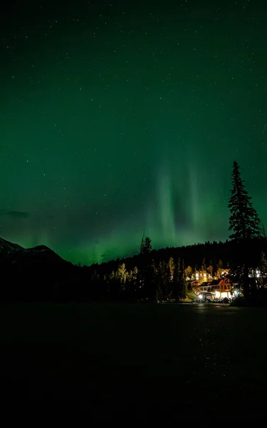 从加拿大森林里看到的神奇的绿色北极光和星星的垂直镜头 — 图库照片