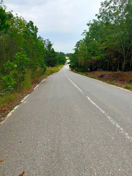 Colpo Verticale Una Tortuosa Strada Rurale Attraverso Bosco — Foto Stock