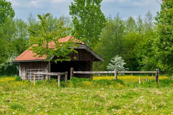 Ranst, Belçika 'da ağaçlarla çevrili güzel bir hayvan ahırı ve ahşap çit.