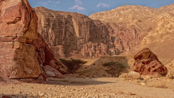砂漠に赤い岩がある美しい風景 — ストック写真