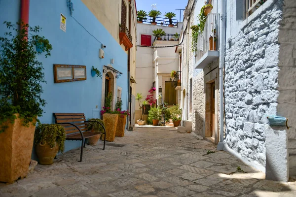 Mała Uliczka Casamassima Wieś Niebieskimi Domami Regionie Puglia Włoszech — Zdjęcie stockowe