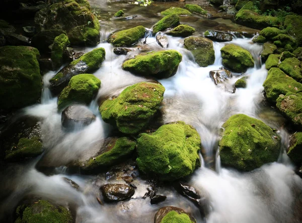 森の中の苔むした岩の上を流れる川の長い露出ショット — ストック写真