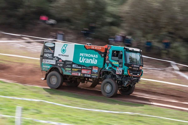 Green Petronas Team Iveco Road Racing Truck — Stock Photo, Image