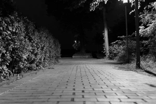 Şehir Gecesi Sokak Siyah-Beyaz