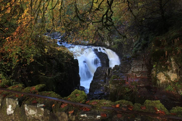 Ein Schöner Wasserfall Einem Dichten Wald — Stockfoto