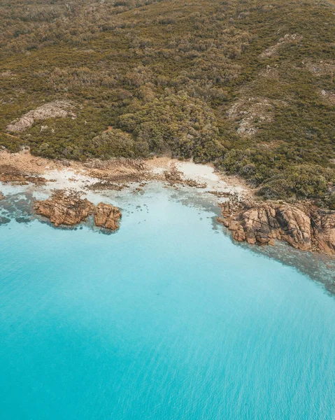 Vertikal Bild Ett Vackert Landskap Med Hav Och Tropiska Skogar — Stockfoto