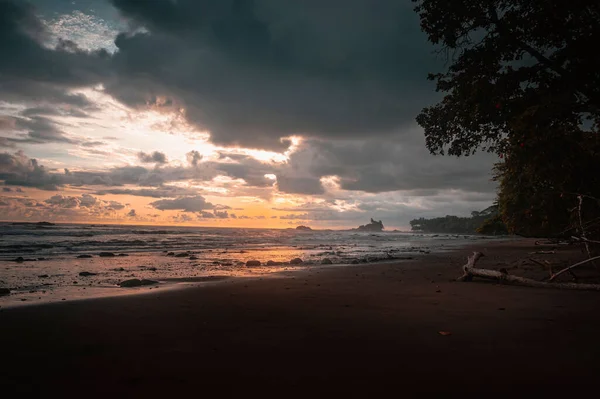 Gün batımında düşen ağaçların olduğu kayalık ve kumlu bir sahil, Uvita, Kosta Rika, renkli bulutlu bir gökyüzünün altında