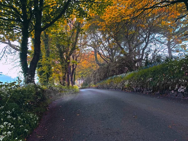 Sonbahar Boyunca Dar Bir Yolun Güzel Bir Çekimi — Stok fotoğraf