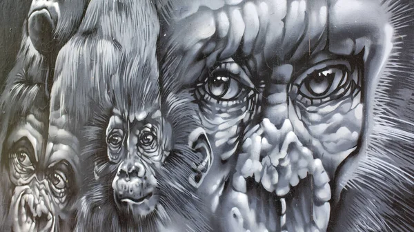 在墨西哥瓜达拉哈拉 一幅画了大猩猩脸的壁画挂在墙上 — 图库照片