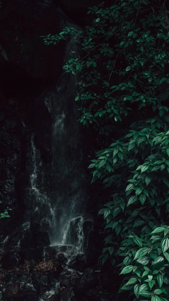 森の中の滝の垂直ショット — ストック写真